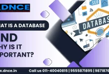 What is a Database and Why is it Important?