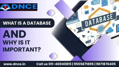 What is a Database and Why is it Important?