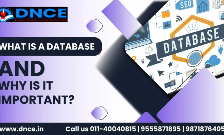 What is a Database and Why is it Important?